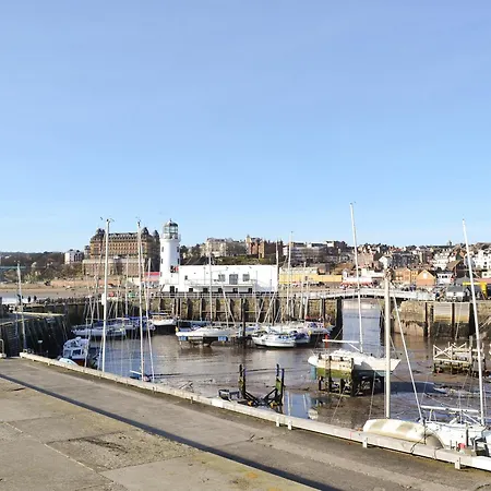 The Haven سكرابورو